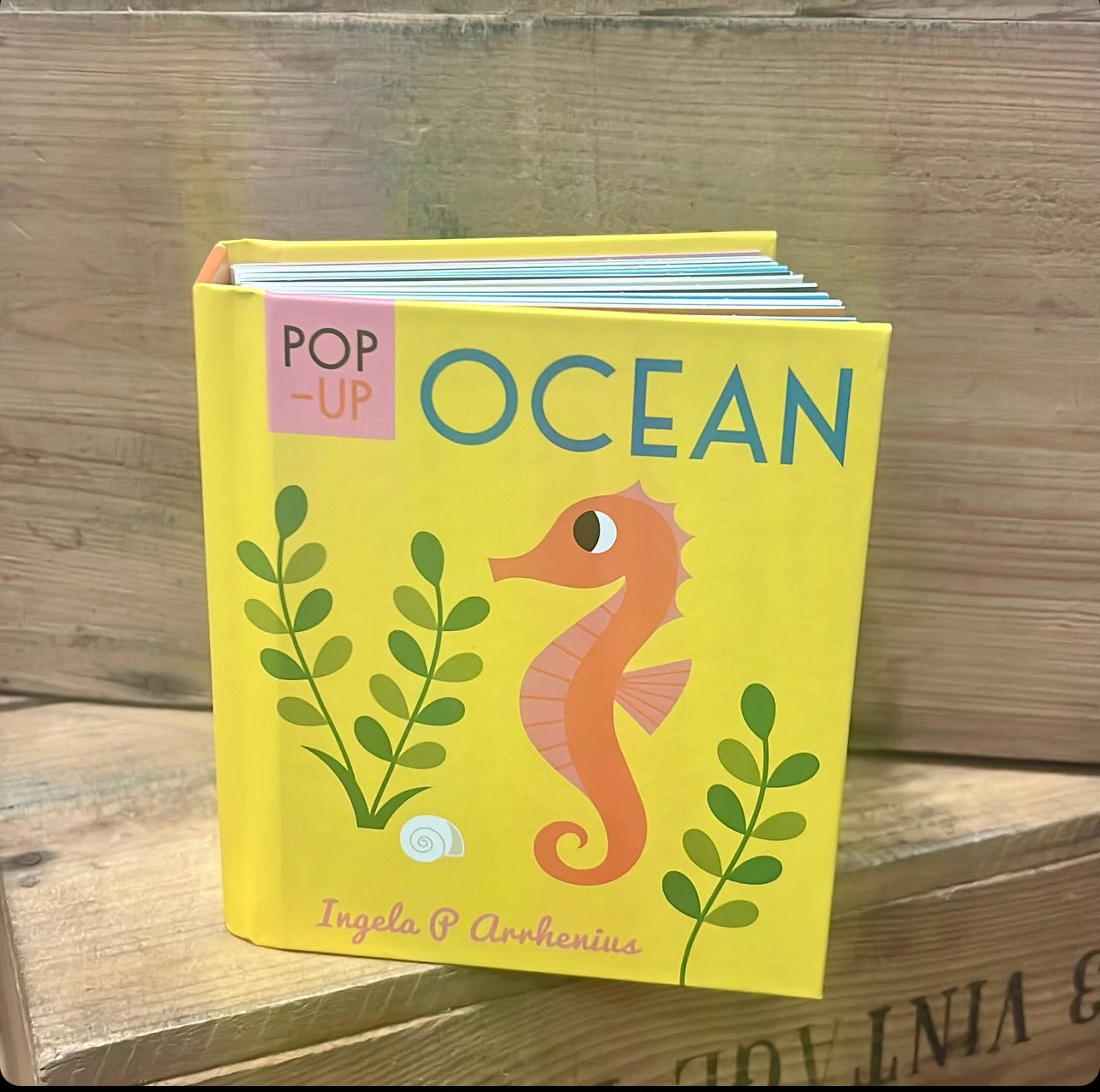 Pop Up Ocean Book