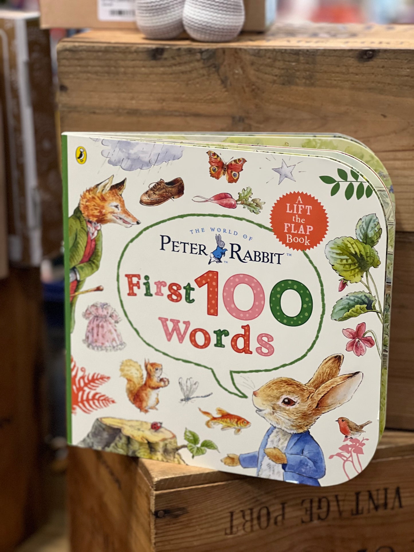 Peter Rabbit- First 100 Words Book
