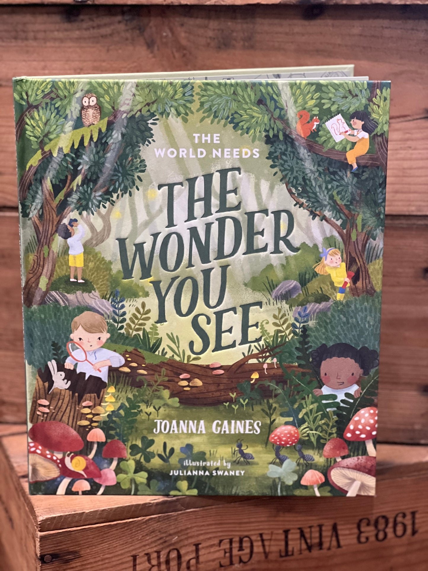 The Wonder You See Book