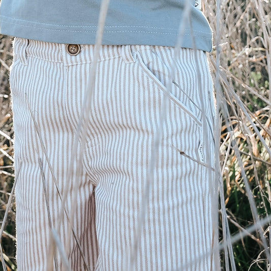 Boys Dress Shorts - Beige Pinstripe