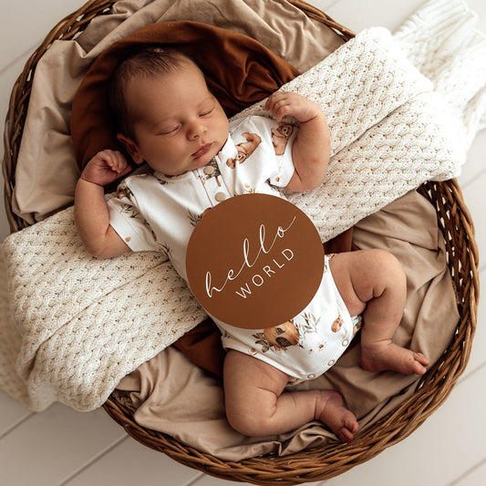 Bears Short Sleeve Organic Bodysuit