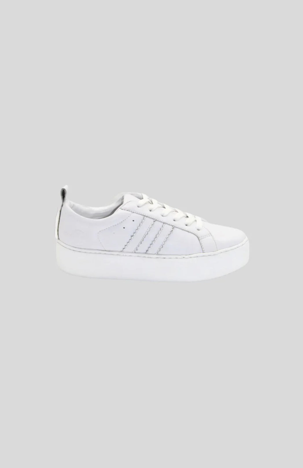 Cult Sneaker - White 